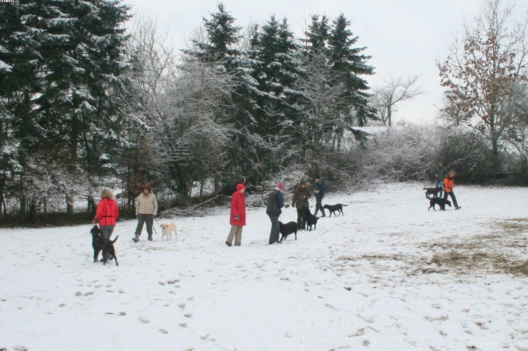 Img 1234121221 396 lg opt