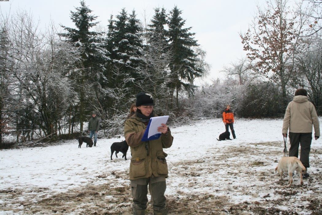 Img 1234121280 124 lg opt