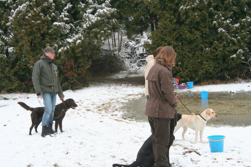 Img 1234121393 515 lg opt