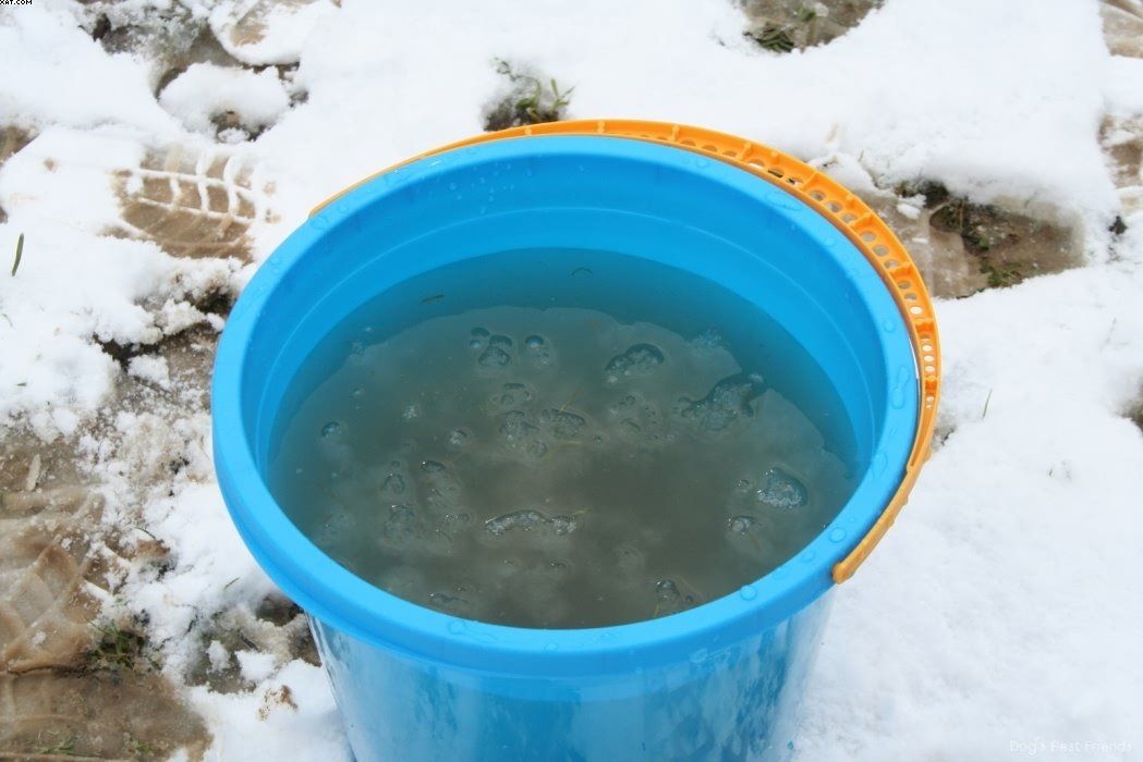 Img 1234121470 690 lg opt