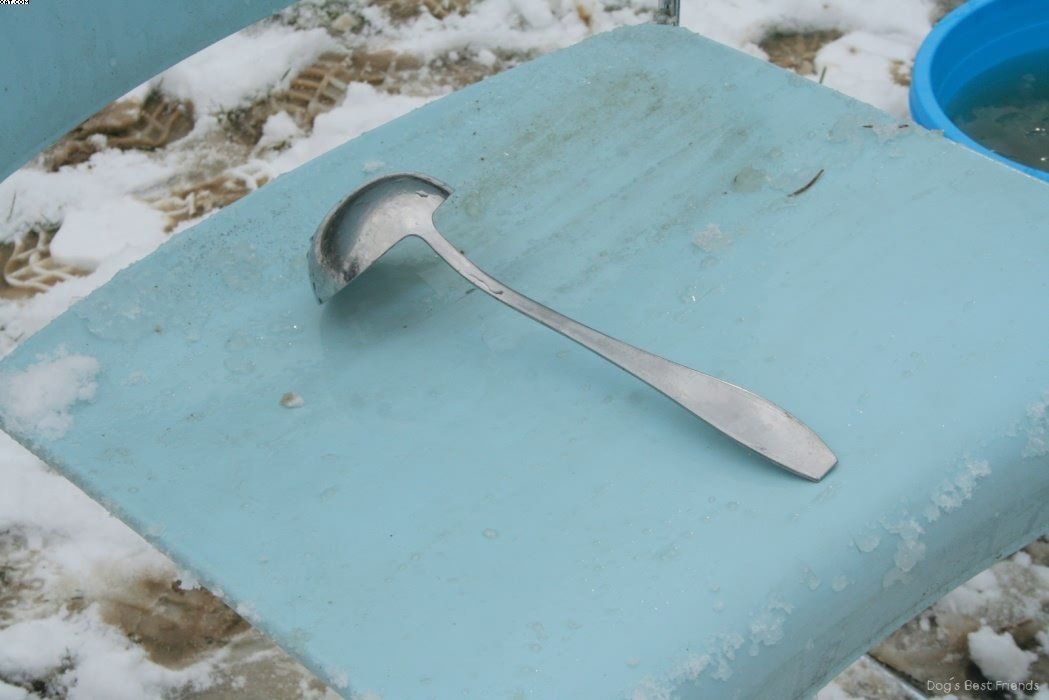 Img 1234121496 117 lg opt