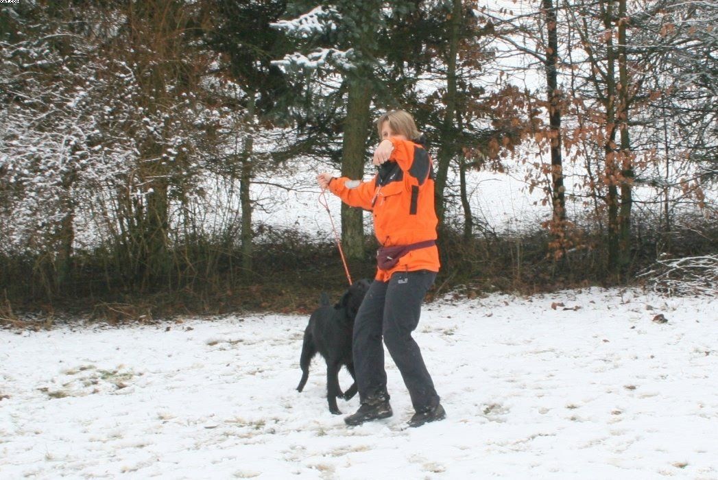 Img 1234121552 97 lg opt