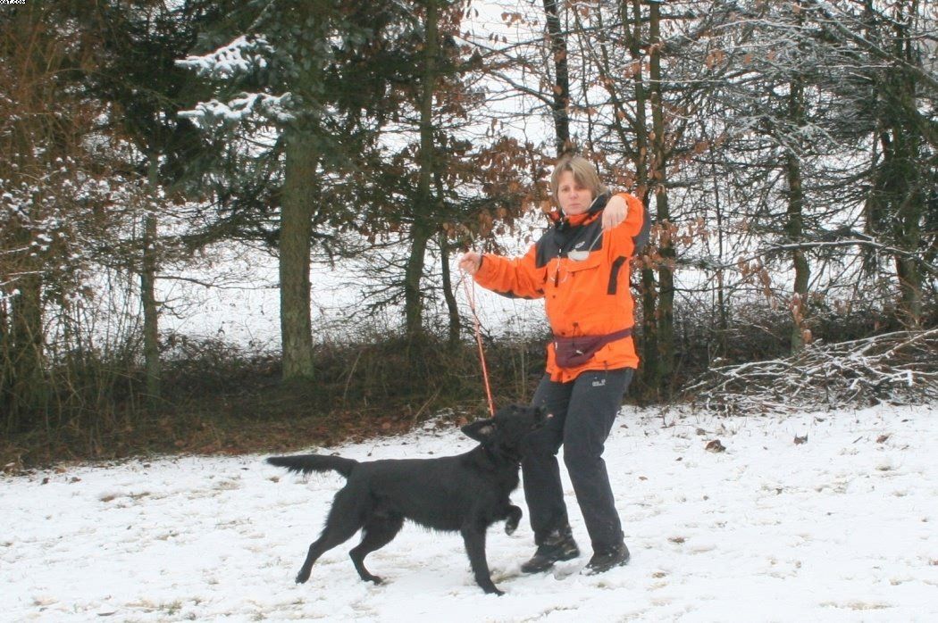 Img 1234121604 309 lg opt