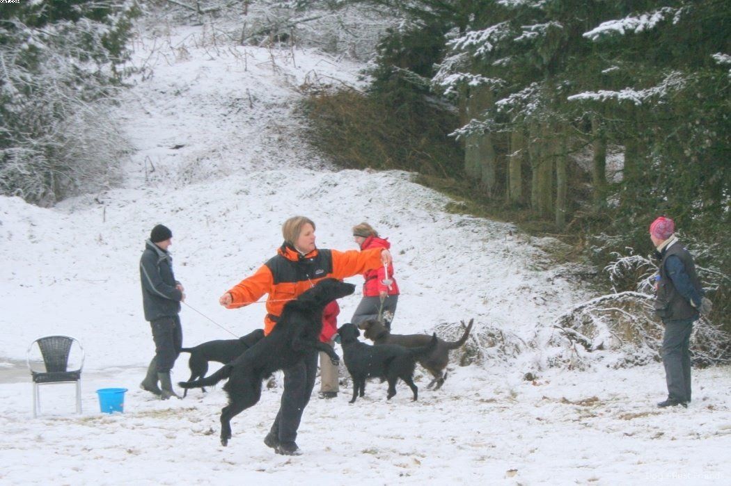 Img 1234121653 891 lg opt