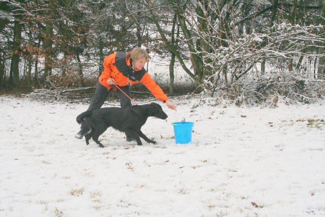 Img 1234121704 68 lg opt