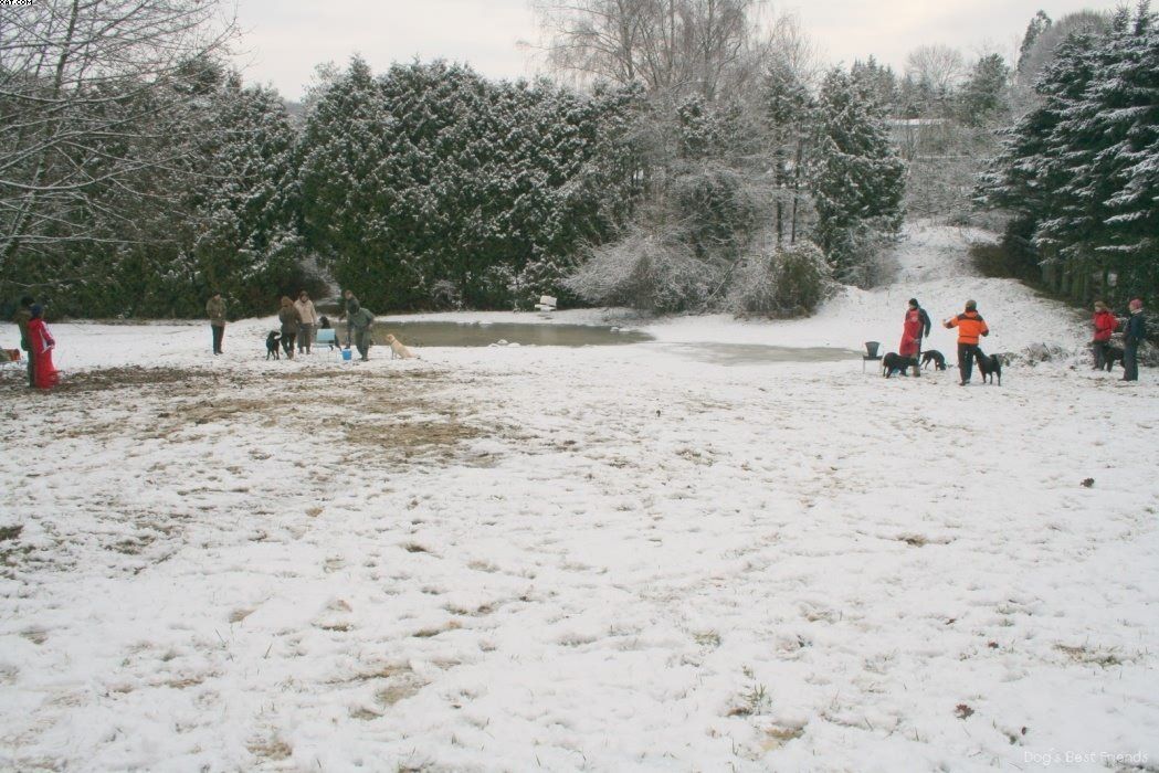 Img 1234121753 398 lg opt