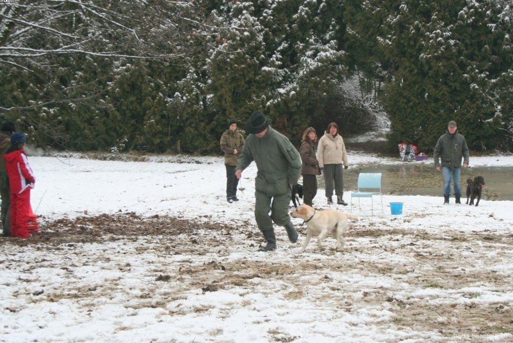 Img 1234121803 720 lg opt