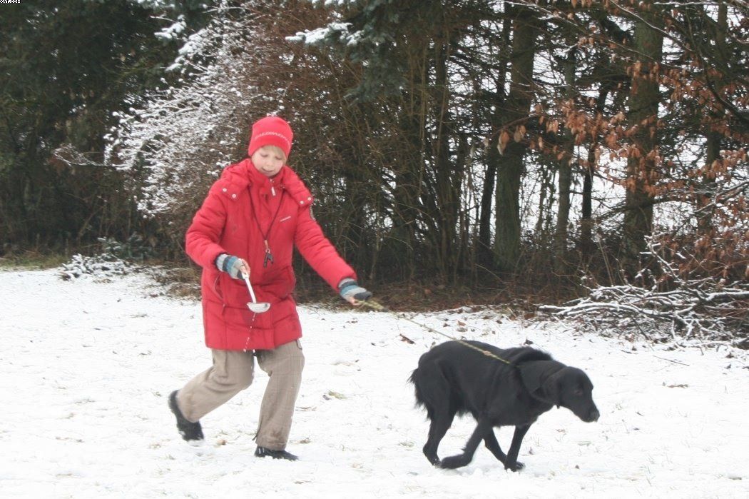 Img 1234121851 98 lg opt