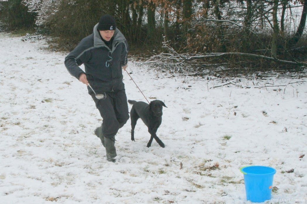 Img 1234121896 834 lg opt