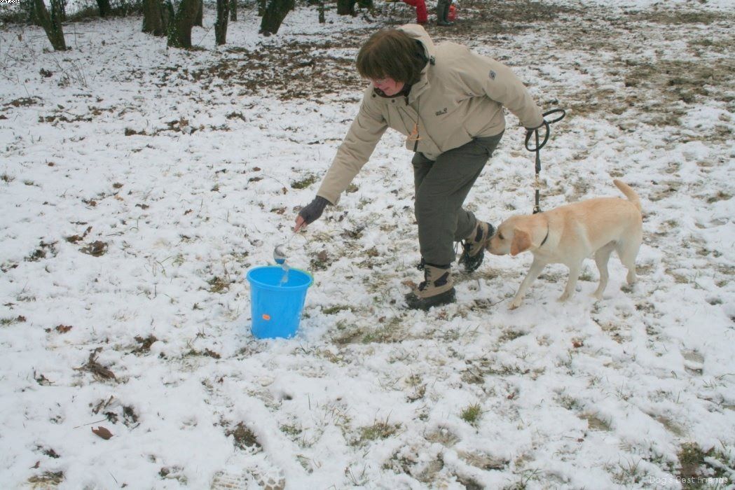 Img 1234121944 342 lg opt