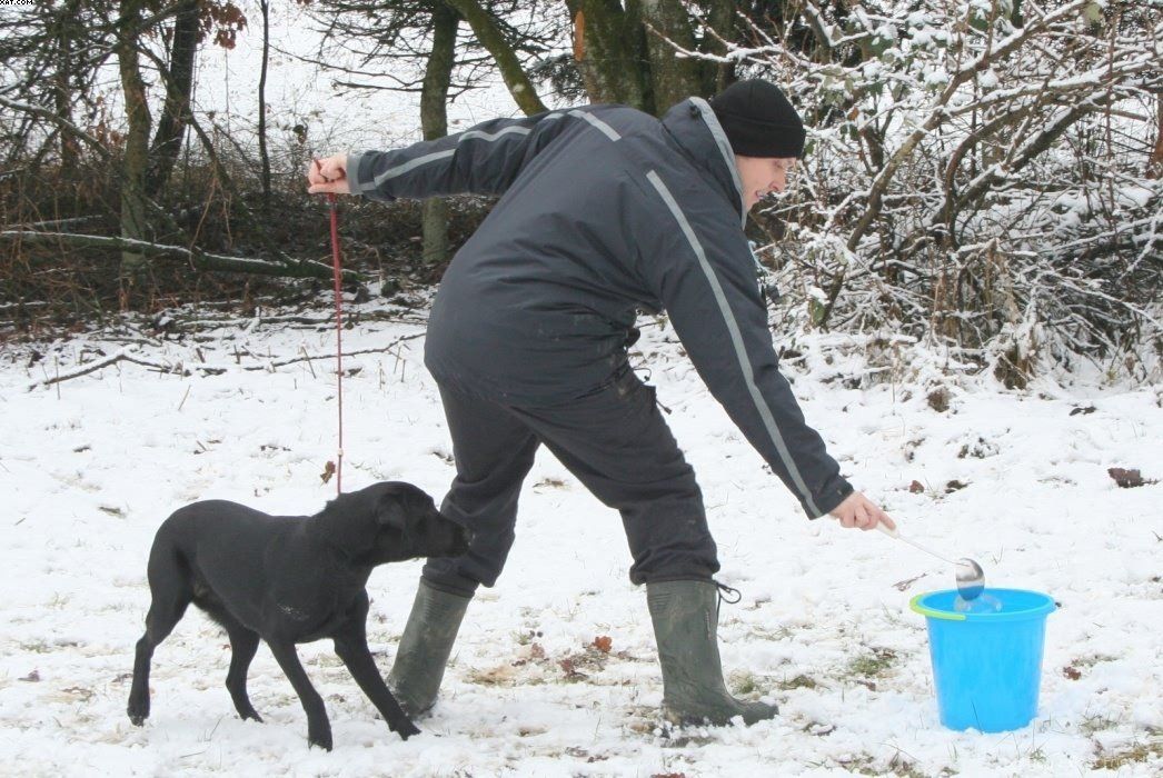 Img 1234121992 885 lg opt