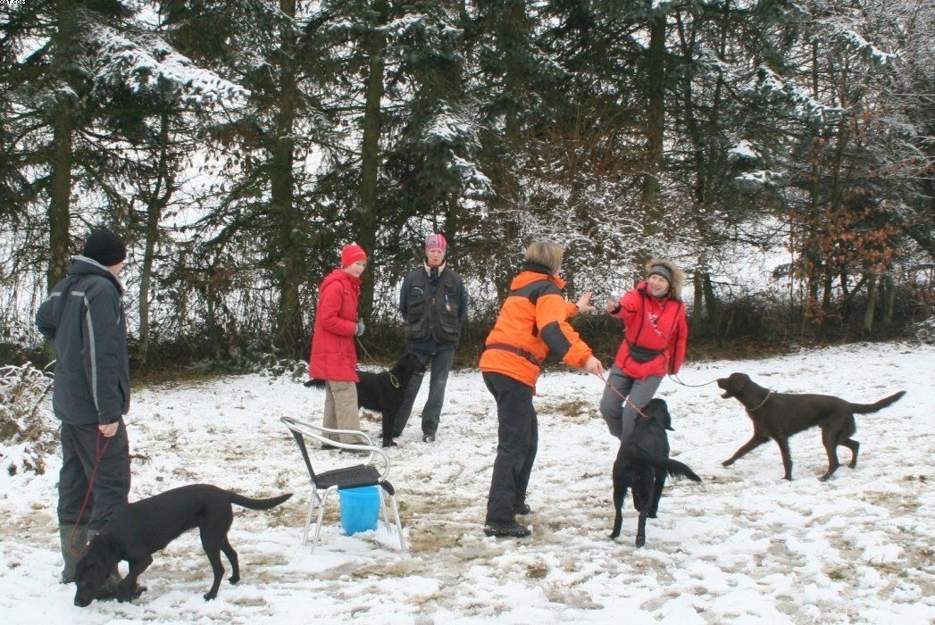 Img 1234122054 608 lg opt