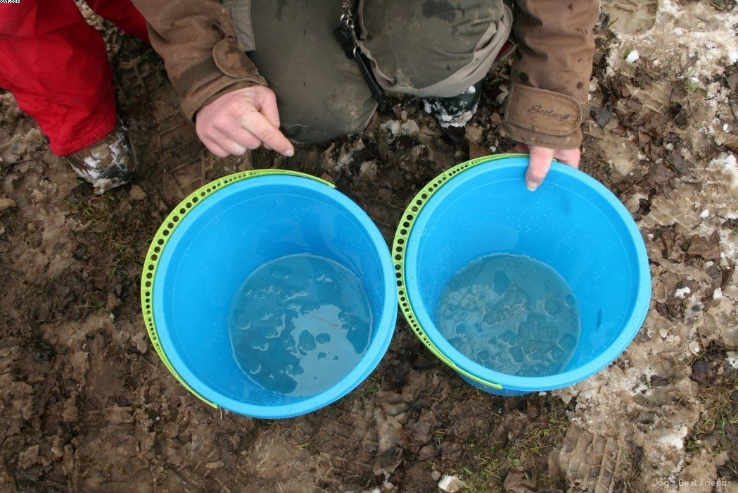 Img 1234122101 987 lg opt