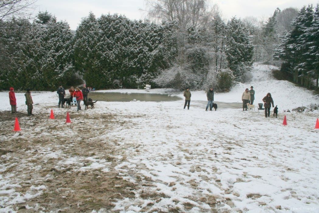 Img 1234122158 277 lg opt