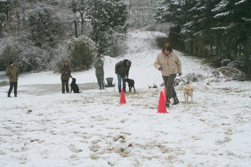 Img 1234122206 608 lg opt