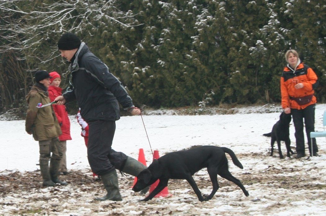 Img 1234122252 139 lg opt