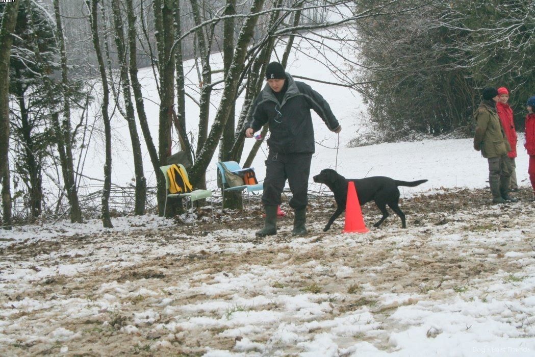 Img 1234122307 633 lg opt