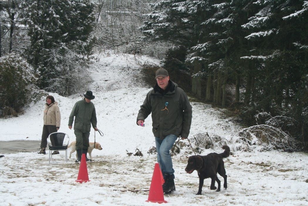 Img 1234122360 602 lg opt