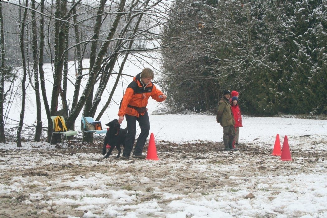 Img 1234122418 354 lg opt