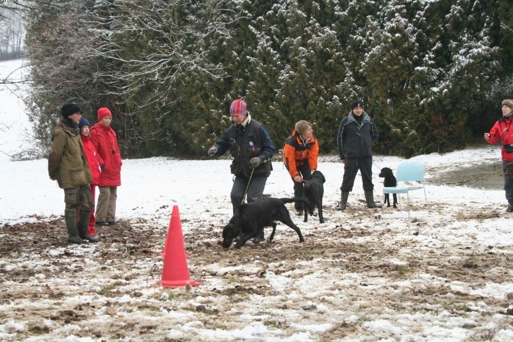 Img 1234122479 196 lg opt