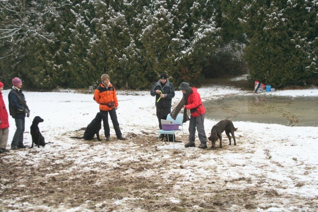 Img 1234122529 890 lg opt