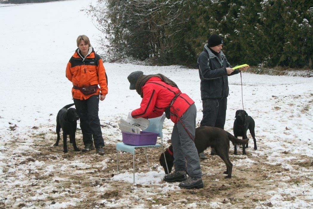 Img 1234122581 790 lg opt