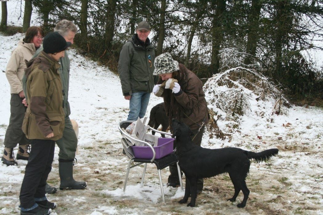 Img 1234122660 331 lg opt