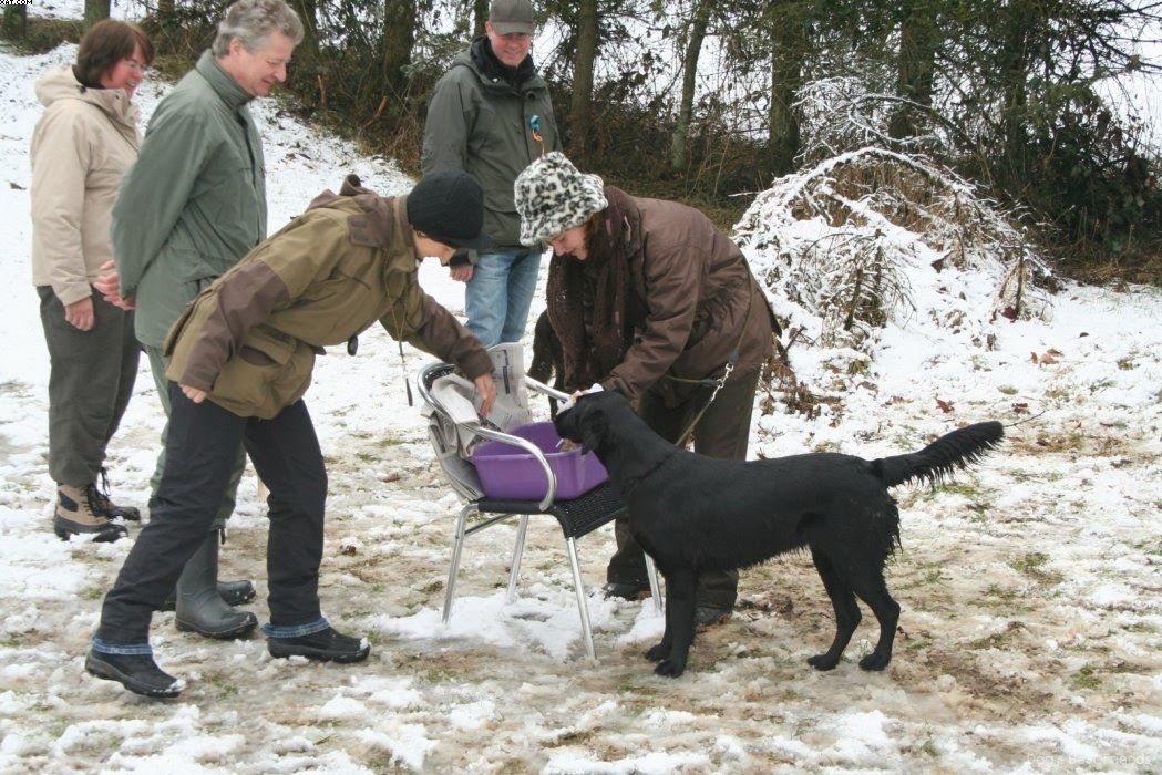 Img 1234122720 175 lg opt