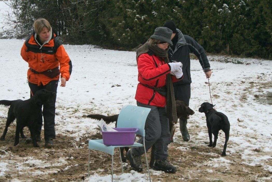 Img 1234122773 129 lg opt