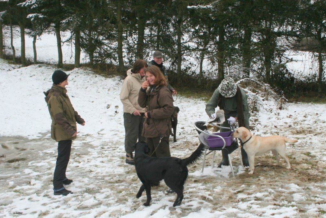 Img 1234122841 903 lg opt