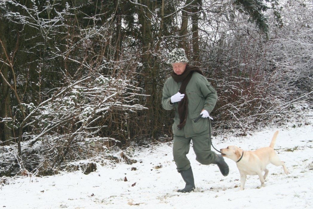 Img 1234122923 884 lg opt