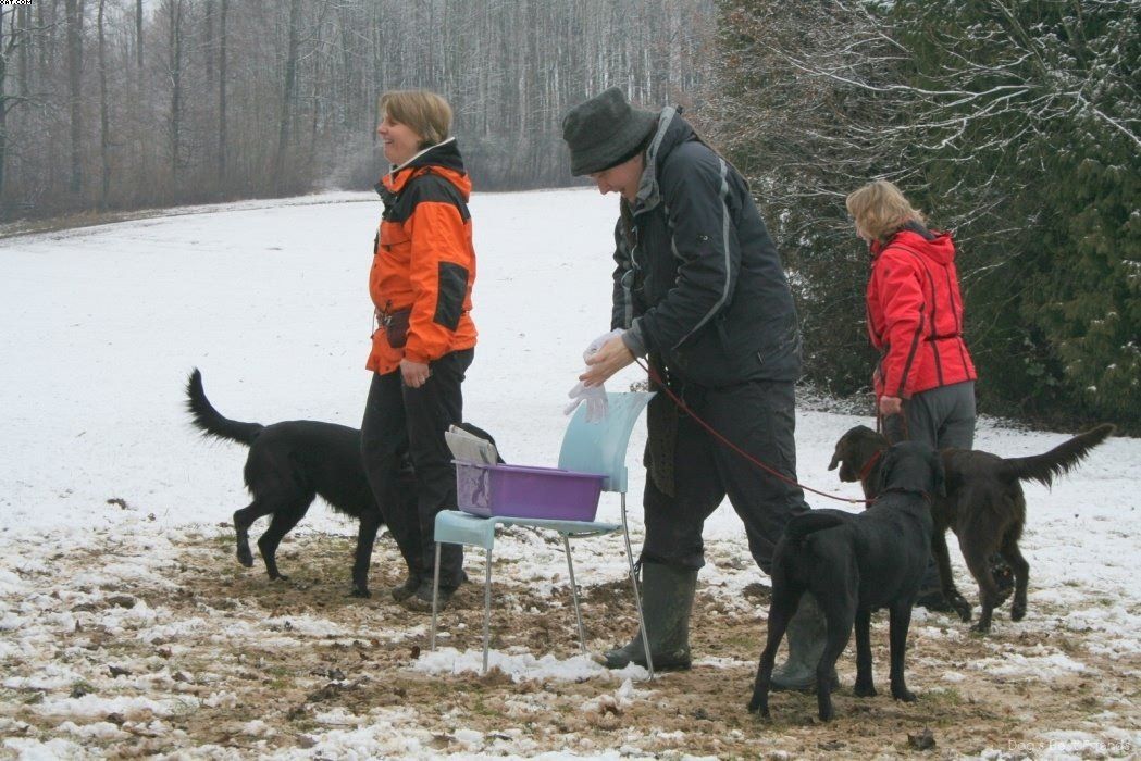 Img 1234122972 160 lg opt