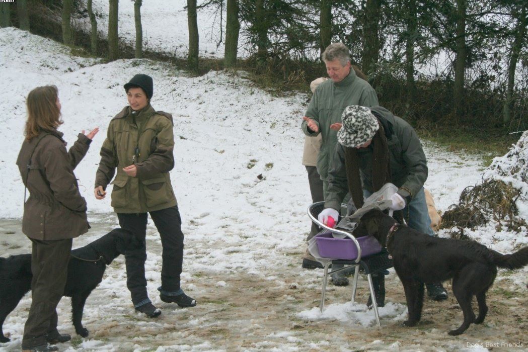 Img 1234123021 462 lg opt