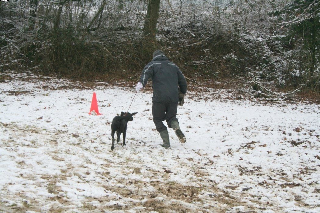 Img 1234123079 530 lg opt