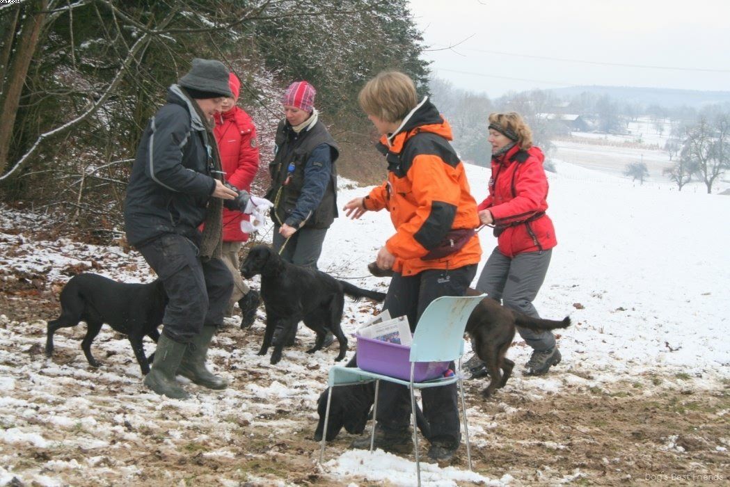 Img 1234123130 352 lg opt