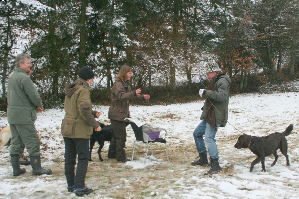 Img 1234123182 199 lg opt