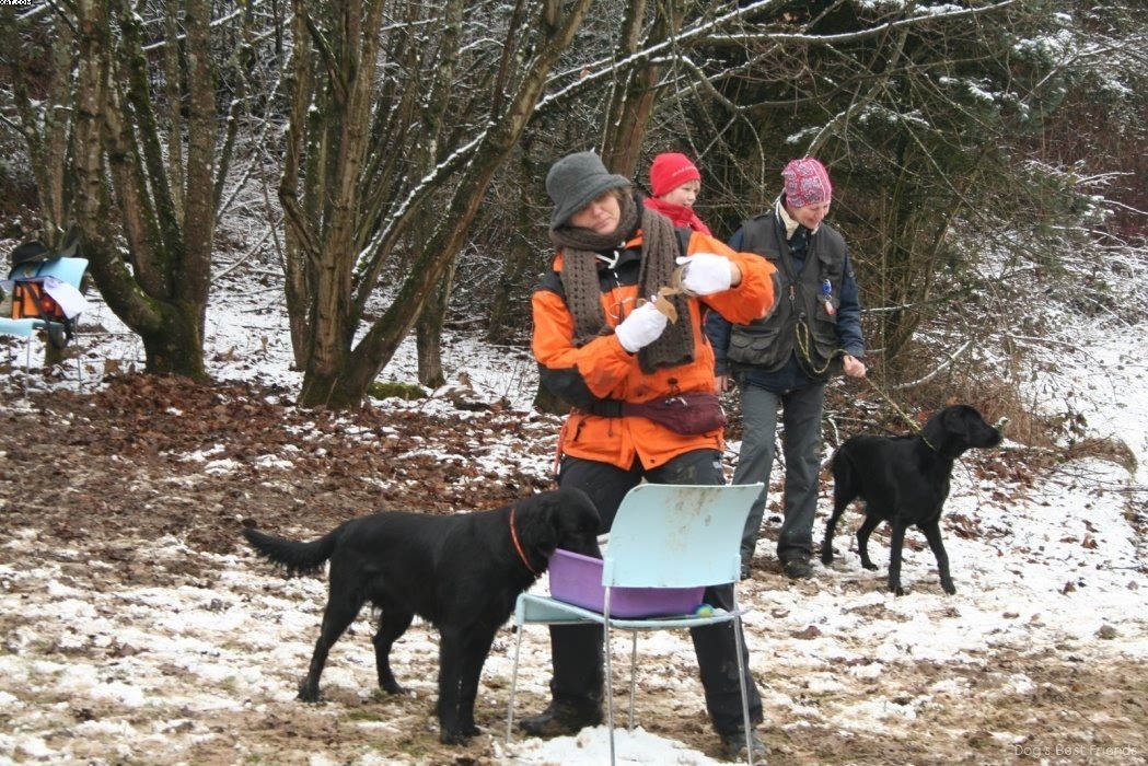 Img 1234123246 198 lg opt