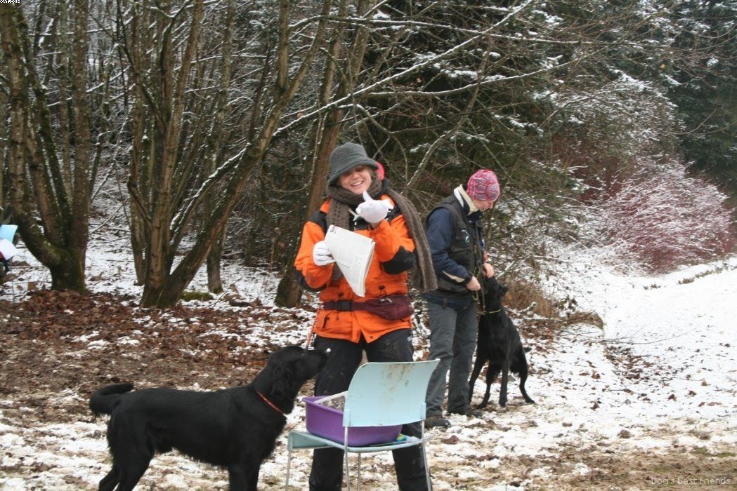 Img 1234123306 986 lg opt