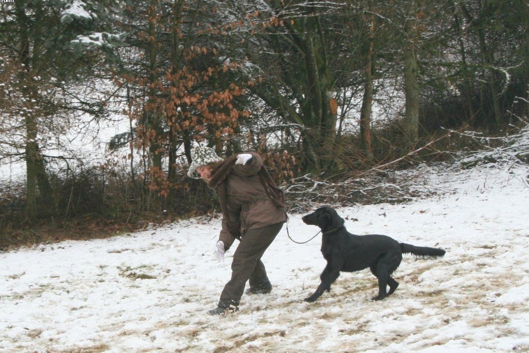 Img 1234123362 684 lg opt