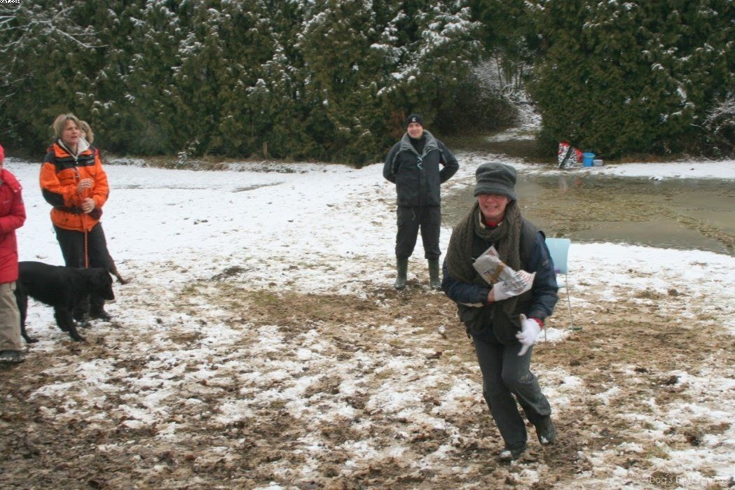 Img 1234123419 734 lg opt