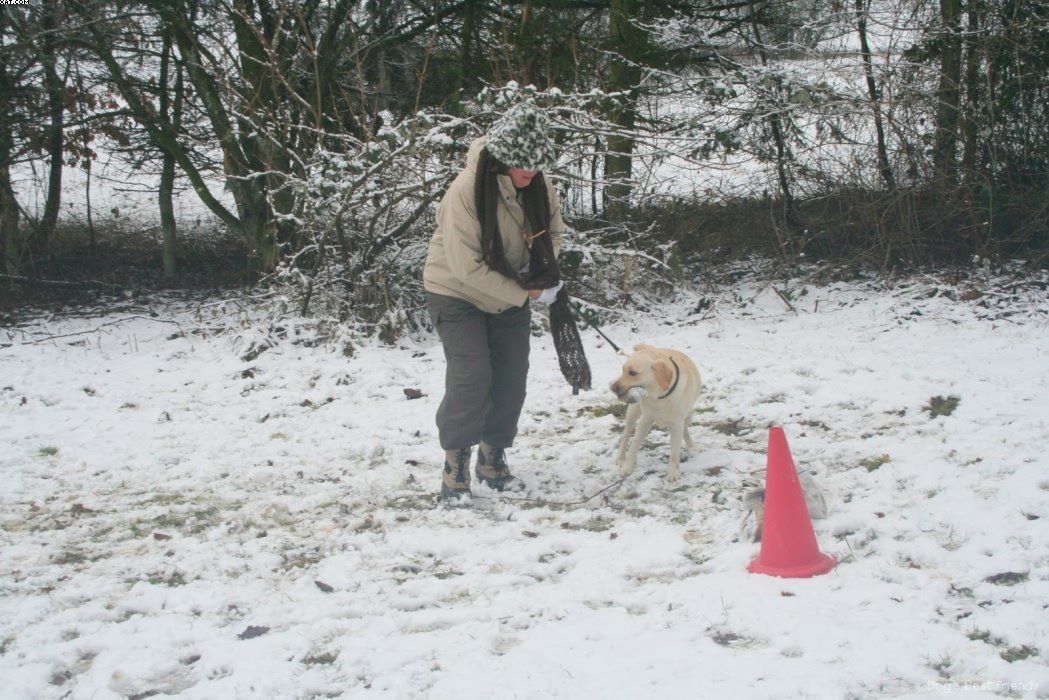 Img 1234123477 996 lg opt