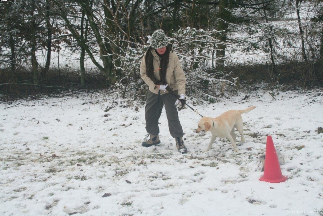 Img 1234123544 642 lg opt