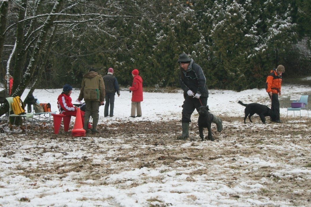 Img 1234123600 180 lg opt