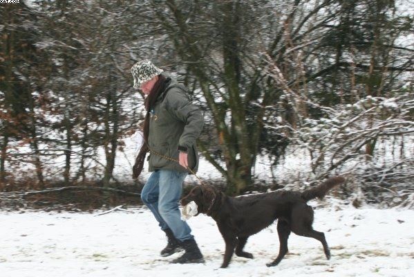 Img 1234123652 994 opt