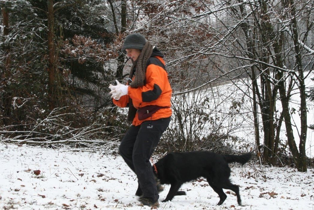 Img 1234123715 917 lg opt