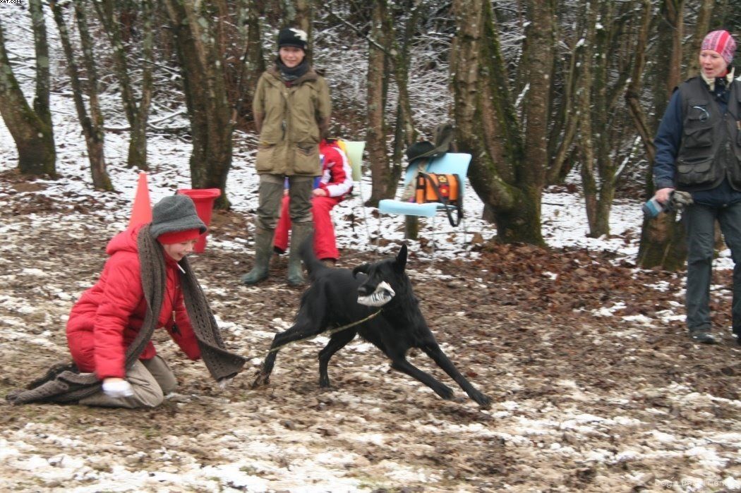 Img 1234123781 519 lg opt