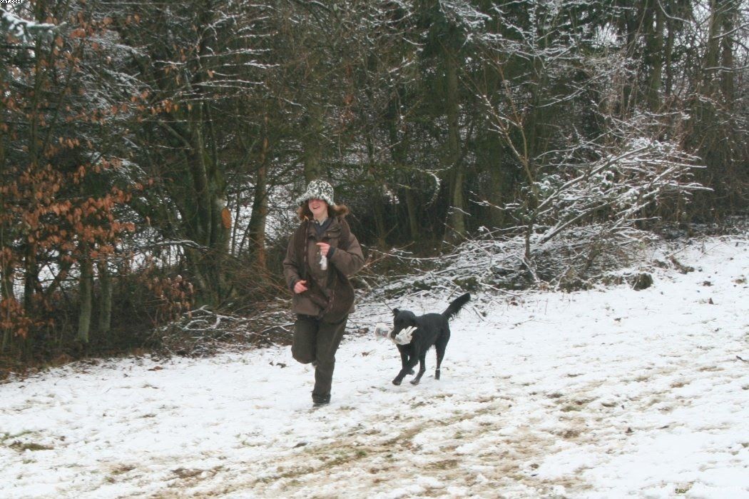 Img 1234123841 658 lg opt