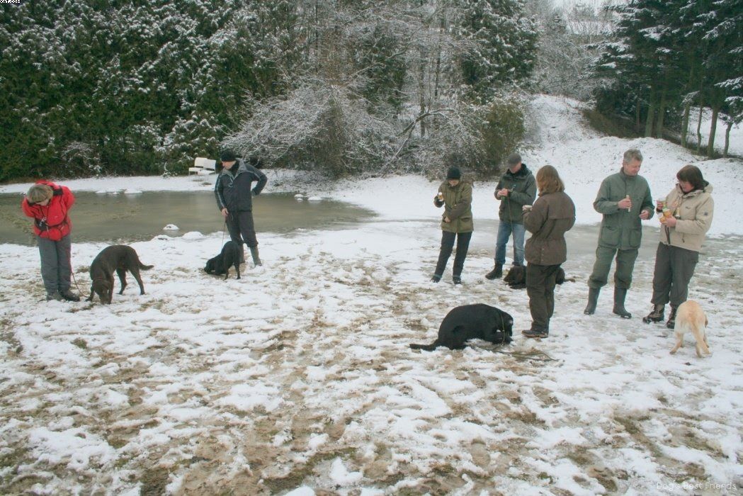 Img 1234123912 704 lg opt