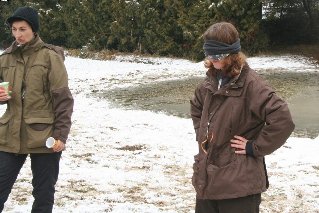 Img 1234123960 425 lg opt