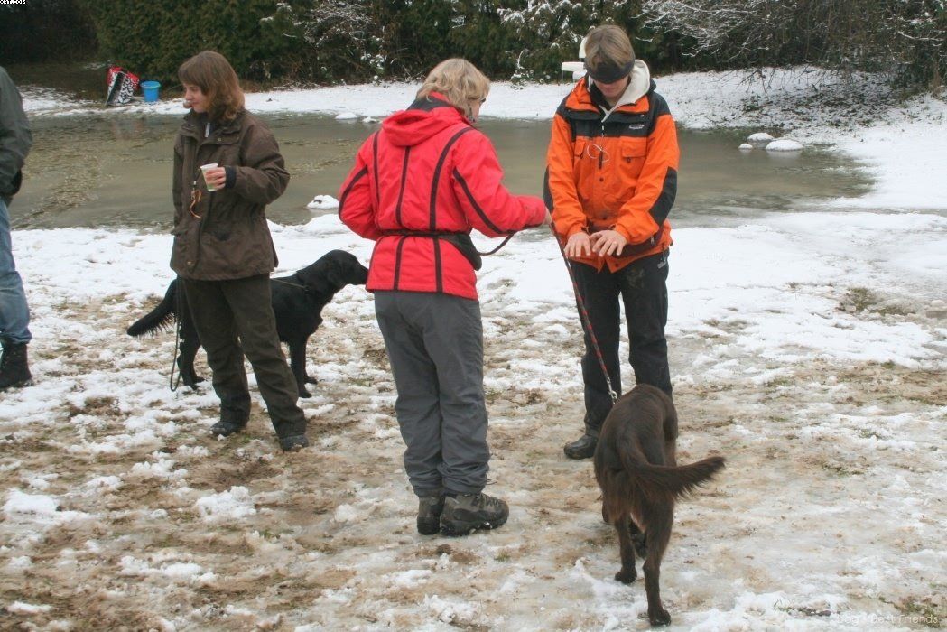 Img 1234124052 784 lg opt